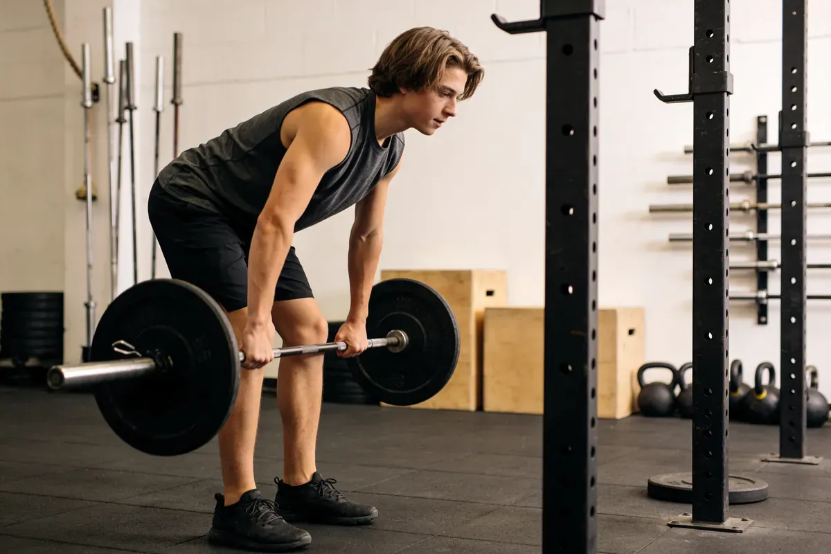 Rowing barre vs tirage horizontal : Quel exercice choisir ? - article musculation Gym Studio